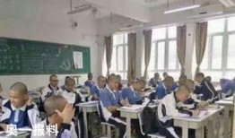 镇宁职校爆料事件最新进展,最新进展揭示惊人内幕